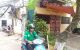 thum-m_weBr3AGonp_1647653593.jpg
