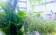 thum-8457632_PNj7Xieplz_1647766366.JPG