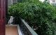 thum-8457812_34opjLOQIv_1647784321.jpg
