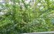 thum-8460783_Gunp8F7QkU_1647831667.jpg