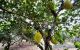 thum-8462030_jG5OoVkwgZ_1647851221.jpg