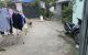 thum-8462234_qCVNgATZdb_1647854280.jpg