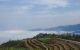 thum-m_GtZe8DAy16_1647849101.jpg
