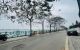 thum-m_Nn0IRo1plr_1647830030.jpeg