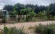 thum-8465134_SVOb5ve4sj_1647941767.jpg