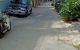 thum-m_Gje0x6Vf4X_1647962657.jpg