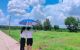 thum-m_HApngXIfjR_1647918067.jpg