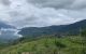 thum-8468156_vTRLn3Ppi9_1648005727.jpg