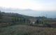 thum-8468382_Y8kU6dyoP2_1648008420.jpg