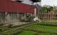 thum-8469570_S0dVRkZFLb_1648028007.jpg