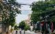 thum-8469731_Vjoq7OeH9c_1648035695.jpg