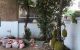 thum-8420769_uDvR3N08V6_1648117462.jpg