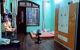 thum-8471886_JpaTxzscDX_1648095602.jpg