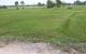 thum-8472151_i01ARto9F7_1648104193.jpg