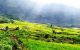 thum-8472165_mzMRAOVCq6_1648104455.jpg