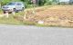 thum-8472807_TC2XtoYgx0_1648112715.jpg