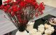 thum-8473132_4f7MjKxyqR_1648136642.jpg