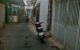 thum-m_B2lFU49HcA_1648097737.jpg