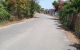 thum-m_h85YKQ1HU7_1648112700.jpg