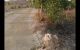 thum-8477970_nkjSFdfw0m_1648264869.jpg