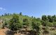 thum-8478339_AghyuRcnTS_1648269741.jpg