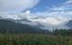 thum-8478523_5NMIW4JsG1_1648278261.jpg