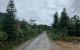 thum-8478526_sOLA7WtkKj_1648278331.jpg