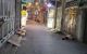 thum-m_PJAYxbUMNz_1648275748.jpg
