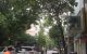 thum-m_eYv6yxgW5G_1648305423.jpg