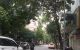 thum-m_vksf4bS1dy_1648258859.jpg