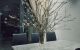 thum-m_9N8lOUzVvp_1648371009.jpg