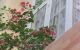 thum-m_amTKPe475w_1648366933.jpeg