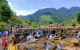 thum-m_n09WFBDMzP_1648338531.jpg
