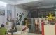 thum-8483359_g9sASOlbwN_1648435077.jpg