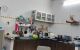 thum-8483774_7DkGu9sUnH_1648440425.jpg