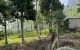 thum-8484925_n9GotQFxNT_1648481072.jpg