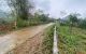 thum-8486072_1uWcN9RPGi_1648518541.jpg