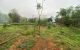 thum-8486072_MRoAbaYjmq_1648518535.jpg