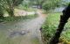 thum-8486598_G1opW8Rmut_1648525478.jpg