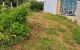 thum-8487224_jMosYEDNtQ_1648538324.jpg