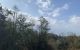 thum-8487412_Acse7ZXzkd_1648540762.jpg