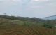 thum-8487425_cAX2lsT8a6_1648540874.jpg