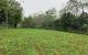 thum-8487852_ODIA6jaW0J_1648548106.jpeg