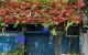 thum-m_GDx7zeNOUt_1648517831.jpg