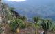 thum-8489820_Blm1FrJQzZ_1648614945.jpg