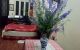 thum-8490914_YK6lVnUaoO_1648648209.jpg