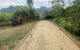 thum-8490991_XHGQcoUajl_1648652315.jpg