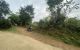 thum-8490991_cH7oATU2eQ_1648652320.jpg