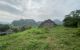thum-m_BAPiIu0G9p_1648652307.jpg