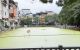 thum-m_oYypa4tcuL_1648608708.jpg